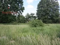 Pronájem pozemku, Planá nad Lužnicí, Soukenická, 650 m2