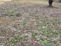 Prodej pozemku pro bydlení, Vlastějovice - Pavlovice, 1021 m2