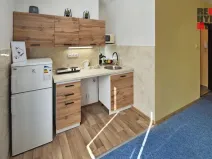 Pronájem bytu 1+kk, Liberec - Liberec V-Kristiánov, Stavbařů, 28 m2