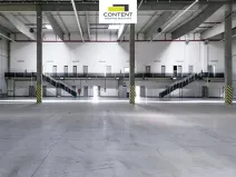 Pronájem skladu, Bor - Nová Hospoda, 19895 m2