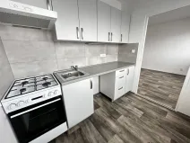 Pronájem bytu 1+1, Ostrava - Mariánské Hory, Václavská, 26 m2