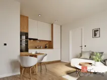 Prodej bytu 2+kk, Ostrava - Moravská Ostrava, Cihelní, 47 m2