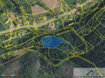 Prodej louky, Trutnov - Babí, 3983 m2