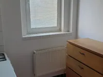 Pronájem bytu 2+kk, Novosedlice, Míru, 40 m2