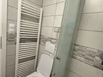 Pronájem bytu 1+kk, Plzeň, Radyňská, 31 m2