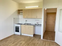 Pronájem bytu 1+1, Litvínov, Mládežnická, 38 m2