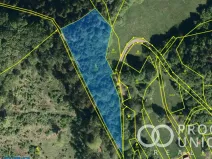 Prodej lesa, Lhota u Vsetína, 3762 m2