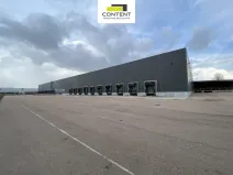 Pronájem skladu, Plzeň - Skvrňany, Podnikatelská, 5119 m2