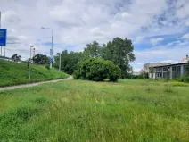 Prodej lesa, Pardubice, 2461 m2