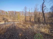 Prodej pozemku pro bydlení, Bernartice - Buková, 15640 m2