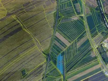 Prodej podílu pole, Velká nad Veličkou, 1063 m2