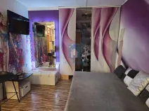 Pronájem bytu 1+kk, Plzeň, Koterovská, 35 m2