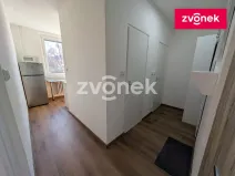 Pronájem bytu 1+1, Zlín - Příluky, Dřevnická, 35 m2