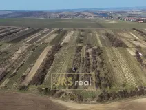 Prodej pozemku, Brumovice, 4065 m2