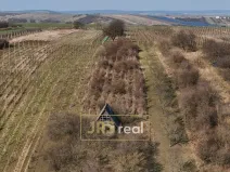 Prodej pozemku, Brumovice, 4065 m2