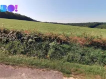 Prodej pole, Uherský Brod, 43866 m2