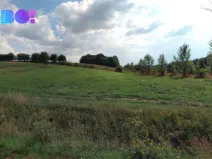 Prodej pole, Veletiny, 5908 m2