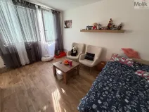 Prodej bytu 1+1, Most, K. H. Borovského, 27 m2