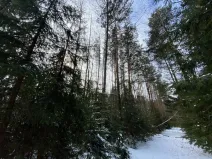 Prodej pozemku, Volfířov - Brandlín, 5958 m2