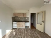 Pronájem bytu 1+1, Litvínov - Horní Litvínov, B. Němcové, 35 m2