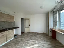 Pronájem bytu 1+1, Litvínov - Horní Litvínov, B. Němcové, 35 m2