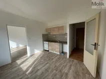 Pronájem bytu 1+1, Litvínov - Horní Litvínov, B. Němcové, 35 m2