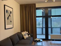 Pronájem bytu 3+kk, Plzeň - Východní Předměstí, Kartónová, 78 m2