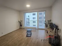 Pronájem bytu 1+kk, Opava - Předměstí, Císařského pluku, 42 m2