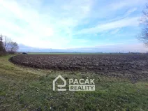 Prodej pole, Kožušany-Tážaly - Kožušany, 15995 m2