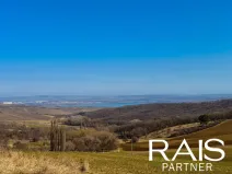 Prodej rodinného domu, Klentnice, 220 m2