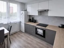 Pronájem bytu 3+1, Most, Růžová, 56 m2