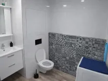 Pronájem bytu 3+1, Most, Růžová, 56 m2