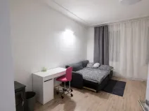 Pronájem bytu 2+1, Ústí nad Labem - Střekov, Železničářská, 56 m2