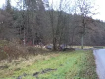 Dražba louky, Doksy, 1295 m2