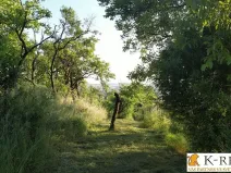 Prodej zahrady, Brno - Židenice, 1227 m2