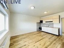 Pronájem bytu 2+kk, Radnice, Na Potocích, 49 m2