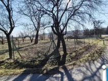 Prodej zahrady, Ptení, 967 m2