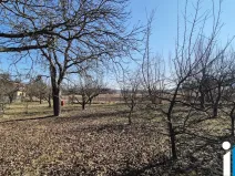 Prodej zahrady, Ptení, 967 m2