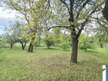 Prodej zahrady, Ptení, 967 m2