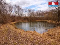 Prodej rybníku, Křečovice - Vlkonice, 68525 m2