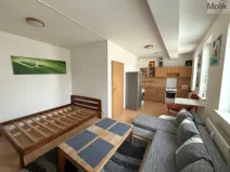 Pronájem bytu 1+kk, Most, Radniční, 32 m2