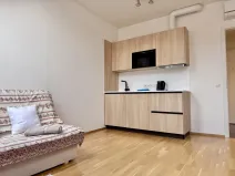 Pronájem bytu 1+kk, Praha - Nové Město, Tyršova, 24 m2