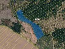 Dražba lesa, Opatov, 7085 m2