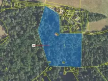 Dražba lesa, Sýkořice, 8962 m2