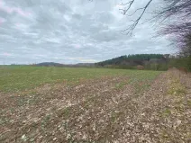 Prodej pozemku, Žinkovy, 4837 m2