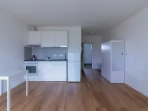 Pronájem bytu 1+kk, Zdiby, 31 m2