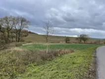 Prodej pole, Děkov, 9305 m2