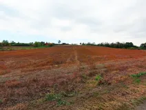 Prodej pozemku pro bydlení, Zruč nad Sázavou, 5369 m2