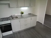 Pronájem bytu 1+1, Ostrava - Mariánské Hory, Gen. Hrušky, 38 m2