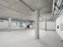 Prodej obchodního prostoru, Praha - Žižkov, Hartigova, 216 m2